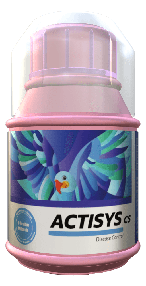 ACTISYS CS