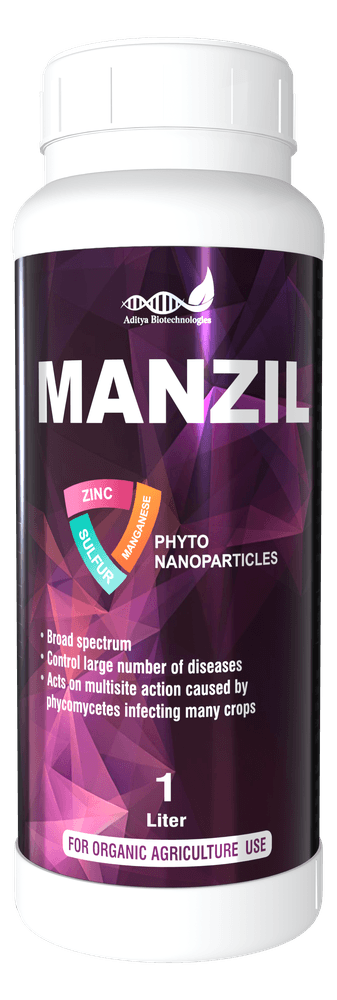 MANZIL