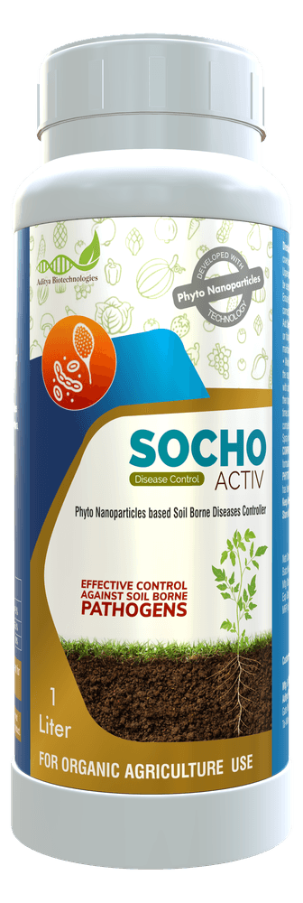 SochoActiv